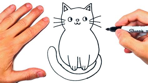 gato para dibujar-4